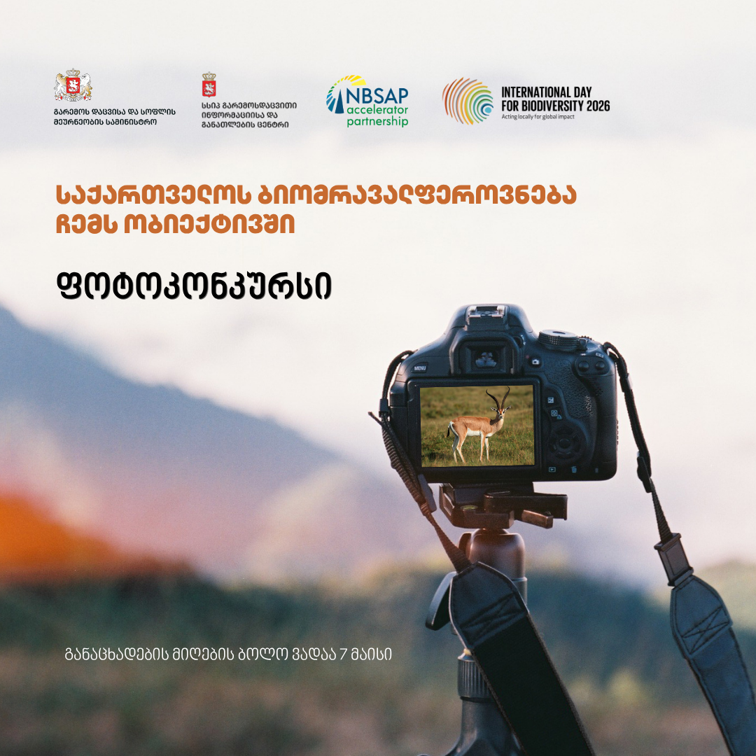 ფოტოკონკურსი - „საქართველოს ბიომრავალფეროვნება ჩემს ობიექტივში”
