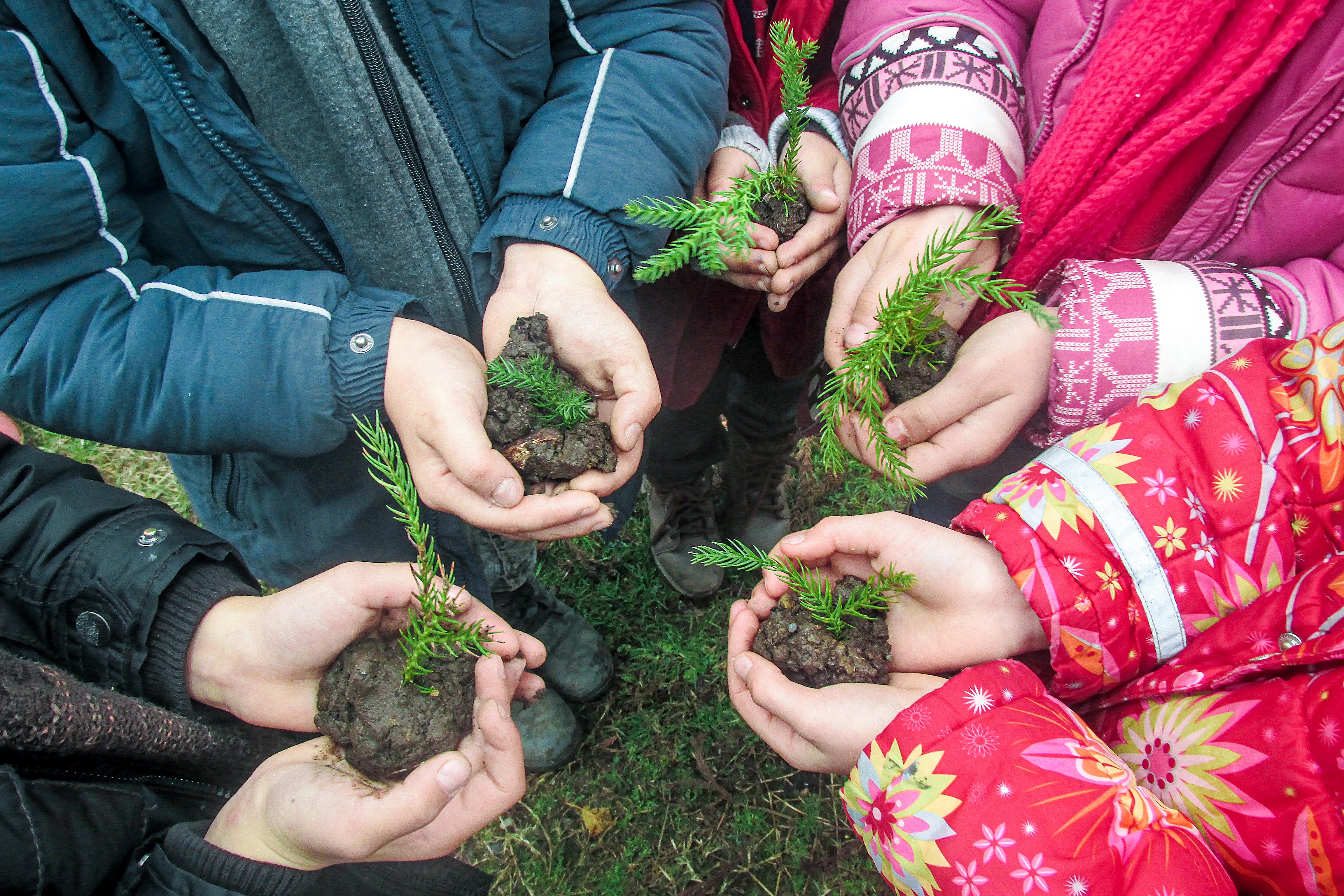 „ნიადაგი ურბანულ ქალაქებში“ - ფოტოკონკურსის გამარჯვებულები გამოვლინდნენ